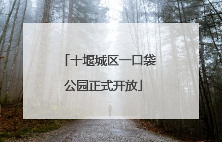 十堰城区一口袋公园正式开放