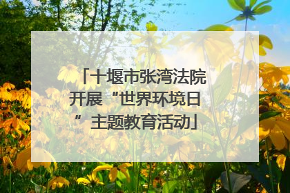 十堰市张湾法院开展“世界环境日”主题教育活动