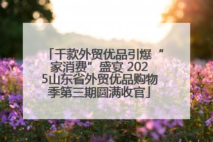 千款外贸优品引爆“家消费”盛宴 2025山东省外贸优品购物季第三期圆满收官