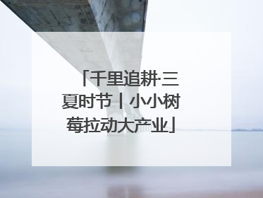 千里追耕·三夏时节丨小小树莓拉动大产业