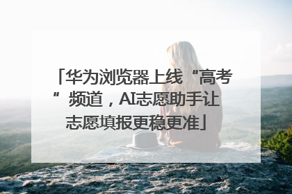华为浏览器上线“高考”频道，AI志愿助手让志愿填报更稳更准