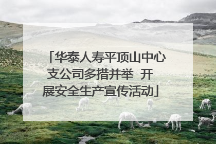 华泰人寿平顶山中心支公司多措并举  开展安全生产宣传活动