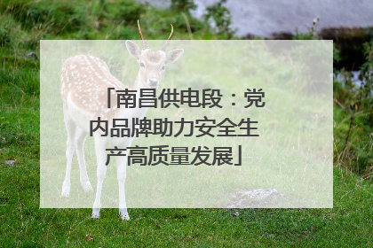 南昌供电段：党内品牌助力安全生产高质量发展