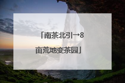 南茶北引→8亩荒地变茶园