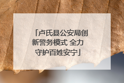卢氏县公安局创新警务模式 全力守护百姓安宁