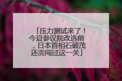 压力测试来了！今夏参议院改选前，日本首相石破茂还需闯过这一关