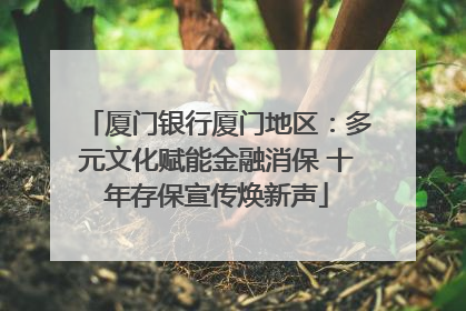 厦门银行厦门地区：多元文化赋能金融消保 十年存保宣传焕新声