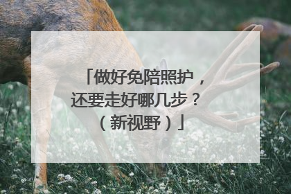 做好免陪照护，还要走好哪几步？（新视野）