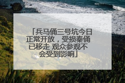 兵马俑三号坑今日正常开放，受损秦俑已移走 观众参观不会受到影响