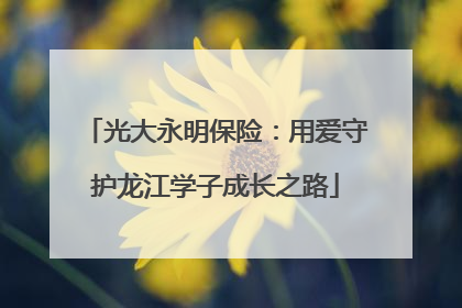 光大永明保险：用爱守护龙江学子成长之路