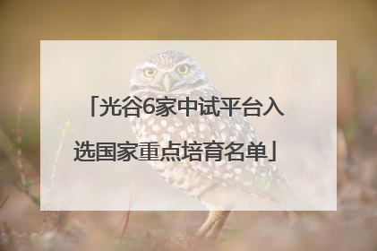 光谷6家中试平台入选国家重点培育名单