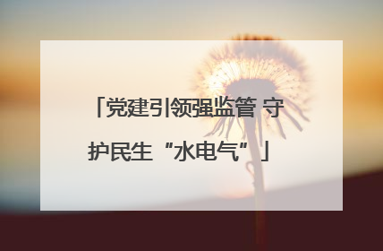党建引领强监管 守护民生“水电气”