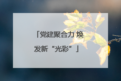 党建聚合力 焕发新“光彩”