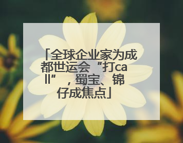 全球企业家为成都世运会“打call”，蜀宝、锦仔成焦点