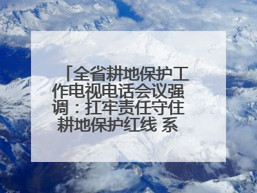 全省耕地保护工作电视电话会议强调：扛牢责任守住耕地保护红线 系统施治夯实粮食安全根基 王宁作出批示 王予波出席并讲话