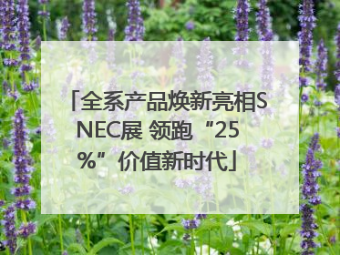 全系产品焕新亮相SNEC展 领跑“25%”价值新时代