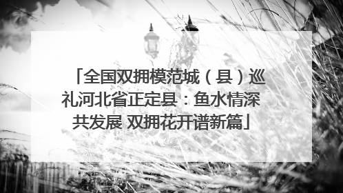 全国双拥模范城（县）巡礼河北省正定县：鱼水情深共发展 双拥花开谱新篇