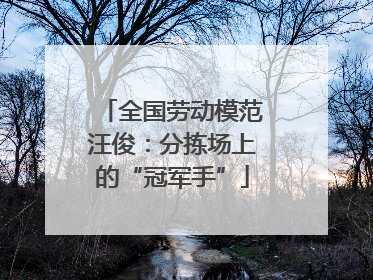 全国劳动模范汪俊：分拣场上的“冠军手”