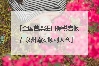 全国首票进口保税岩板在泉州南安顺利入仓