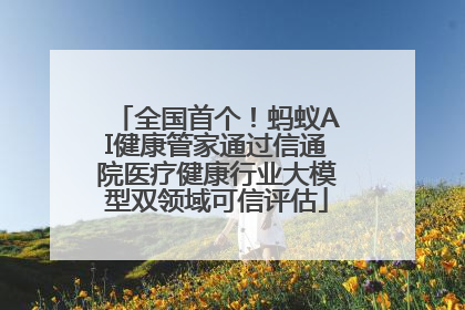 全国首个！蚂蚁AI健康管家通过信通院医疗健康行业大模型双领域可信评估