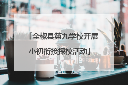 全椒县第九学校开展小初衔接探校活动