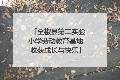 全椒县第二实验小学劳动教育基地收获成长与快乐