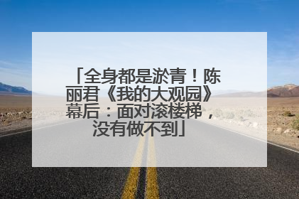 全身都是淤青！陈丽君《我的大观园》幕后：面对滚楼梯，没有做不到
