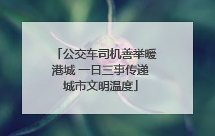 公交车司机善举暖港城 一日三事传递城市文明温度