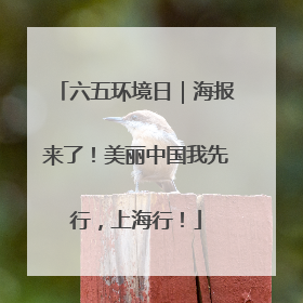 六五环境日｜海报来了！美丽中国我先行，上海行！