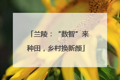 兰陵：“数智”来种田，乡村换新颜