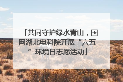 共同守护绿水青山，国网湖北电科院开展“六五”环境日志愿活动