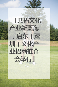 共拓文化产业新蓝海，启东（深圳）文化产业招商推介会举行