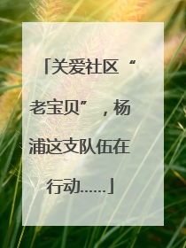 关爱社区“老宝贝”，杨浦这支队伍在行动……