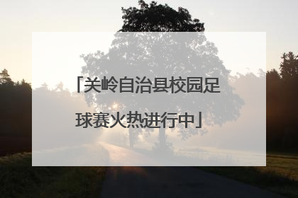 关岭自治县校园足球赛火热进行中