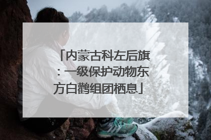 内蒙古科左后旗：一级保护动物东方白鹳组团栖息