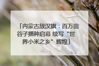 内蒙古敖汉旗：百万亩谷子播种启幕 续写“世界小米之乡”辉煌