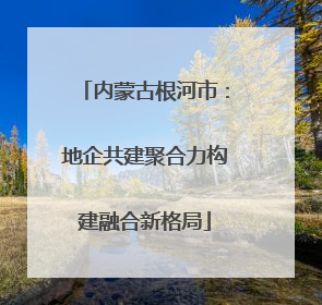 内蒙古根河市：地企共建聚合力构建融合新格局