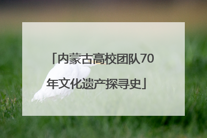 内蒙古高校团队70年文化遗产探寻史