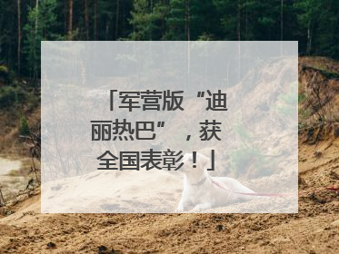 军营版“迪丽热巴”，获全国表彰！