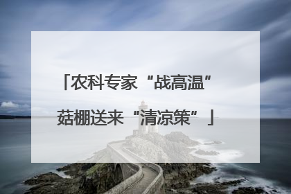 农科专家“战高温” 菇棚送来“清凉策”