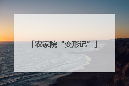 农家院“变形记”
