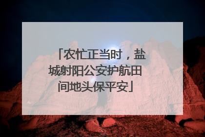 农忙正当时，盐城射阳公安护航田间地头保平安