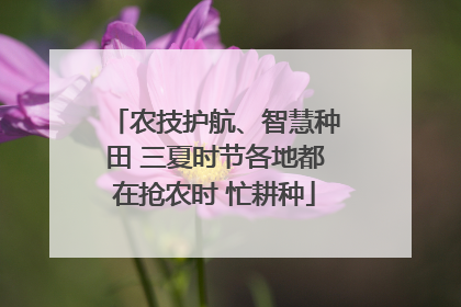 农技护航、智慧种田 三夏时节各地都在抢农时 忙耕种