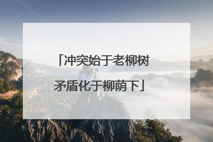 冲突始于老柳树 矛盾化于柳荫下