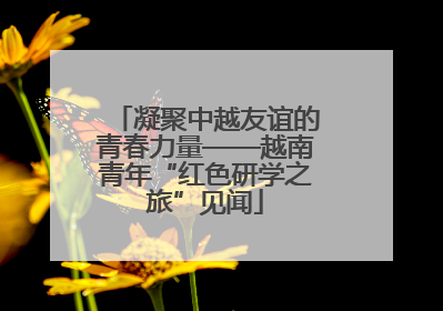 凝聚中越友谊的青春力量——越南青年“红色研学之旅”见闻