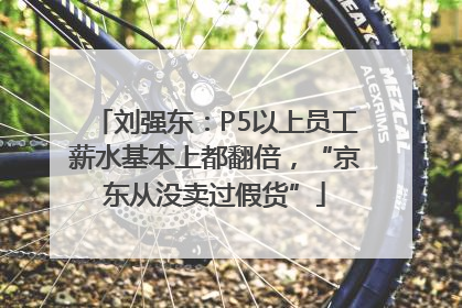 刘强东：P5以上员工薪水基本上都翻倍，“京东从没卖过假货”