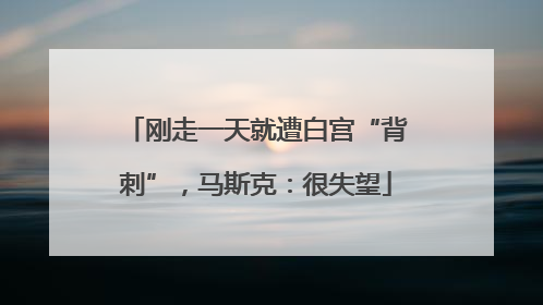 刚走一天就遭白宫“背刺”，马斯克：很失望