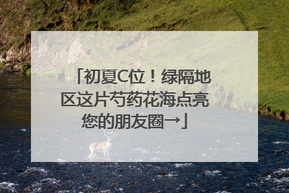 初夏C位！绿隔地区这片芍药花海点亮您的朋友圈→