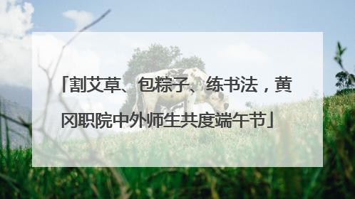 割艾草、包粽子、练书法，黄冈职院中外师生共度端午节