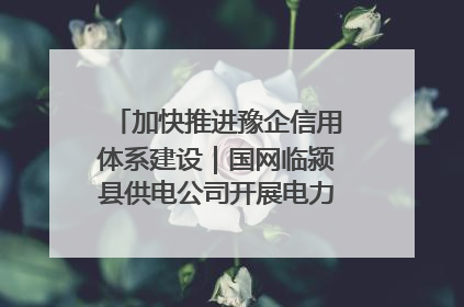 加快推进豫企信用体系建设｜国网临颍县供电公司开展电力行业信用企业现场咨询访谈工作